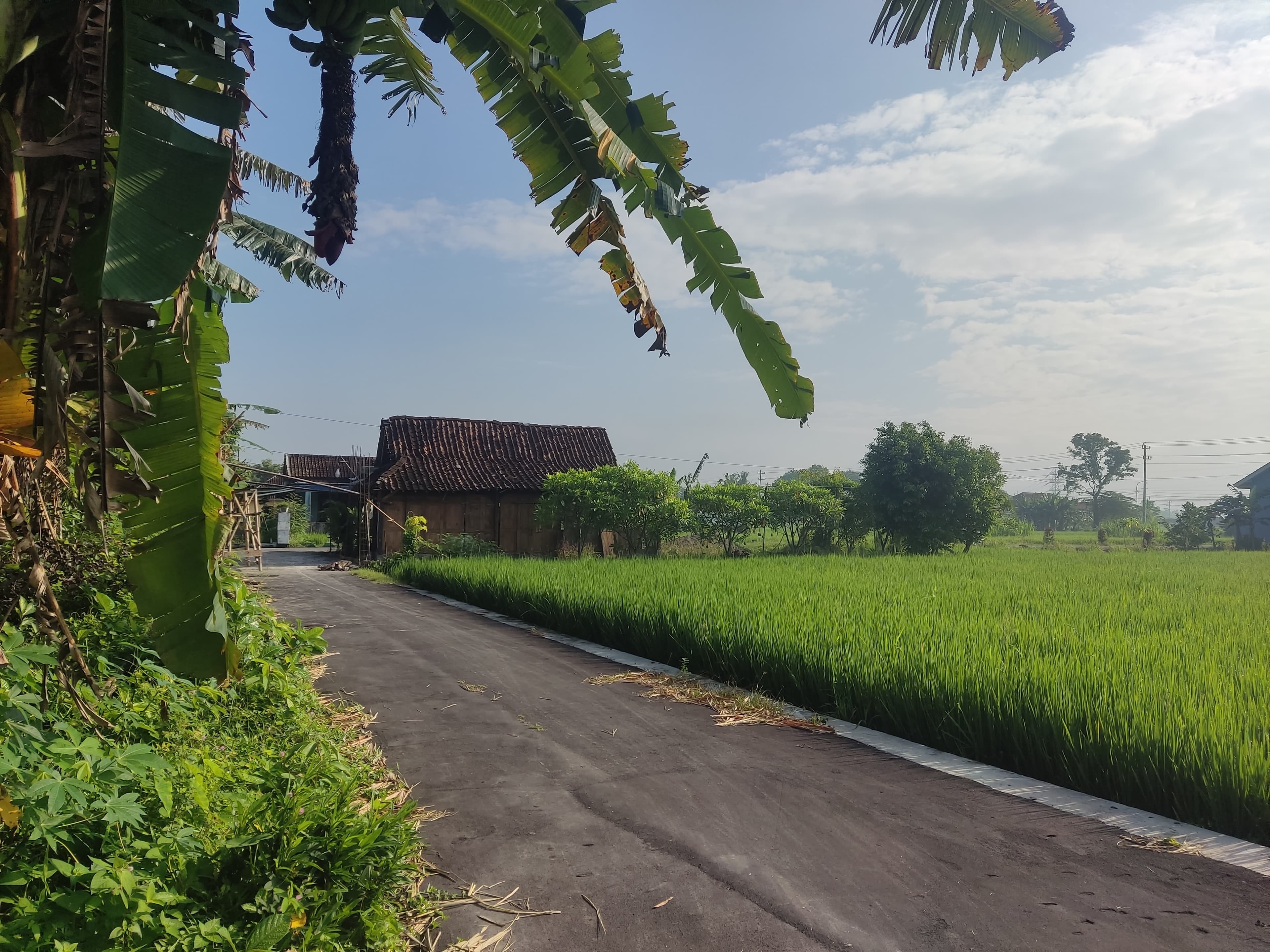 Kridha Turonggo Puspo