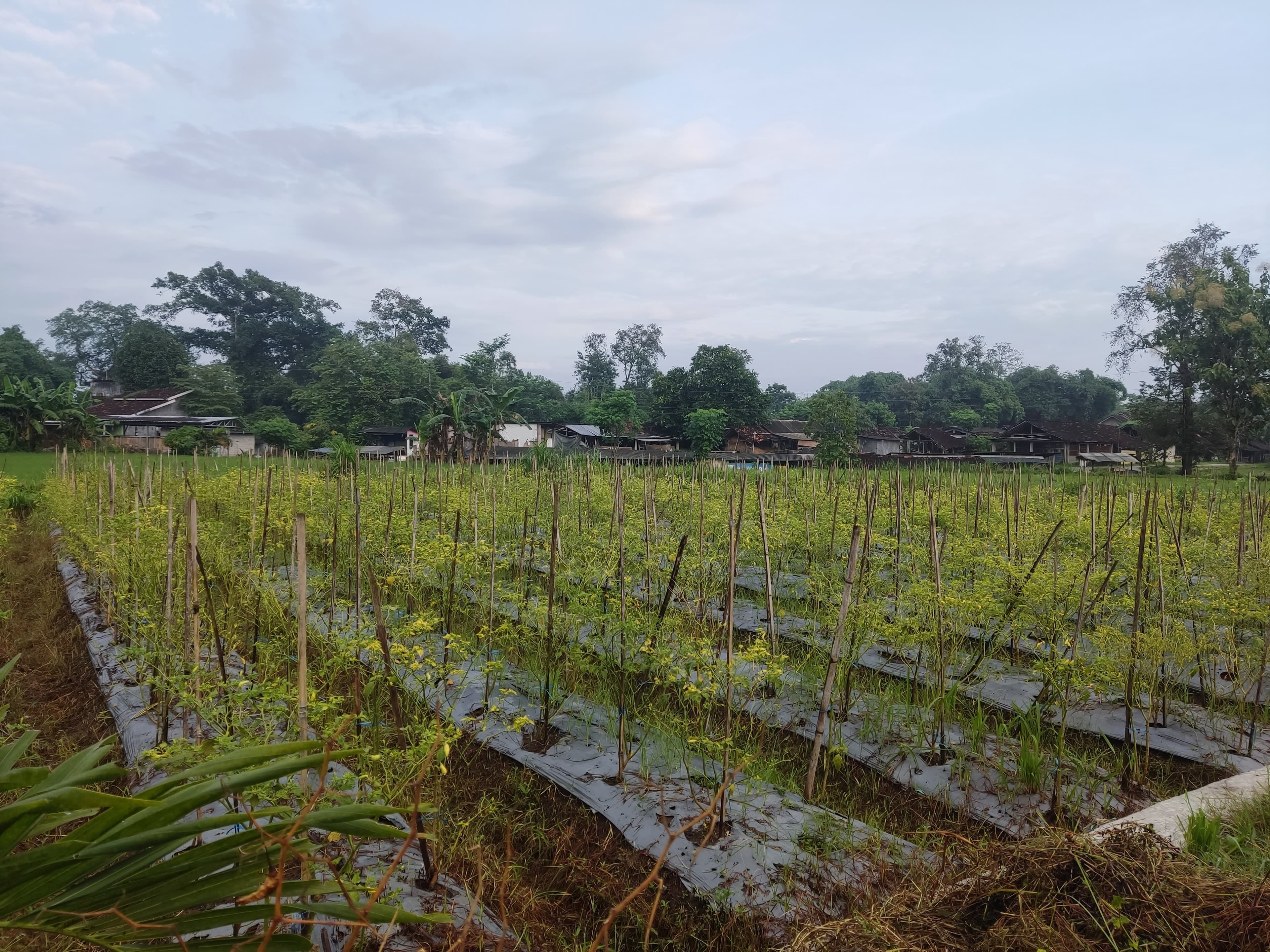 Keramahan Warga dan Interaksi Warga