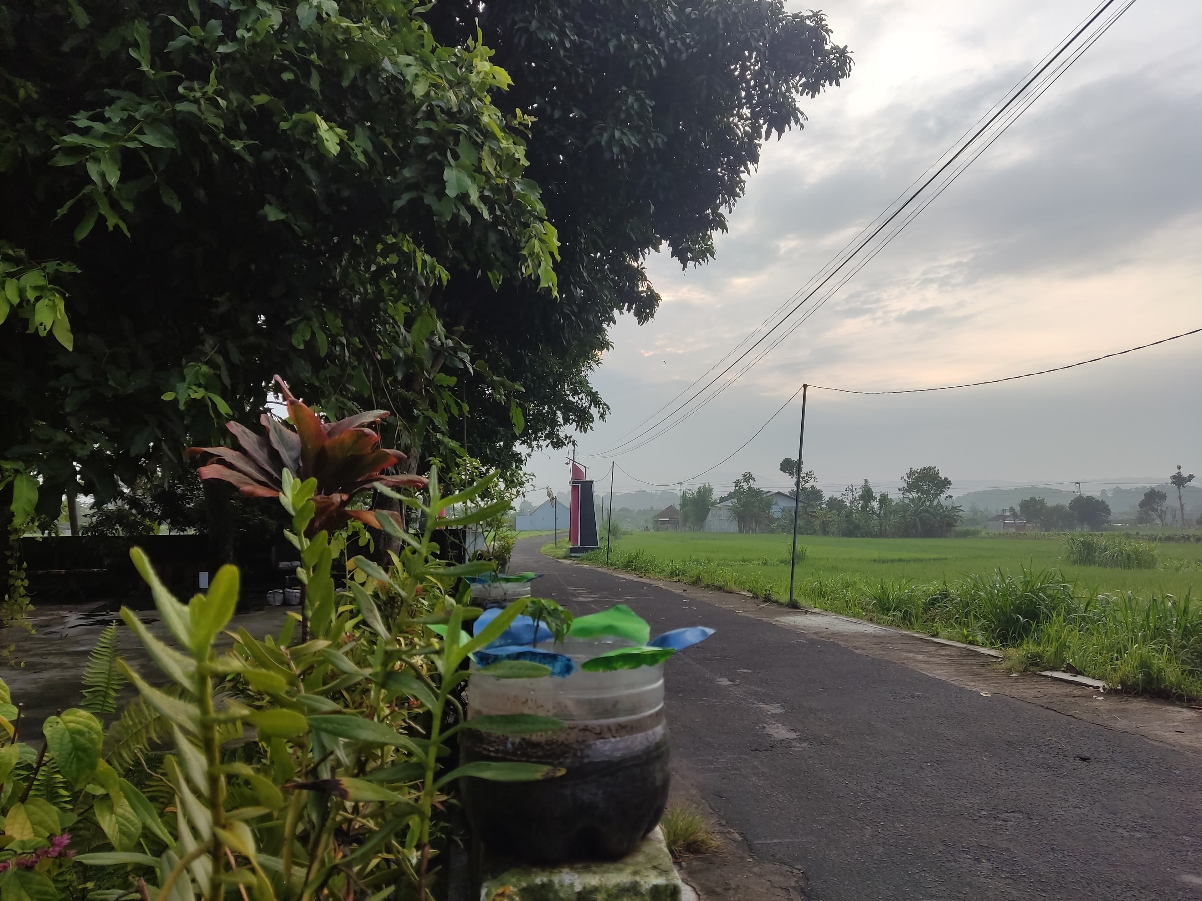 Jalan Lingkungan Asri Padukuhan Kembang