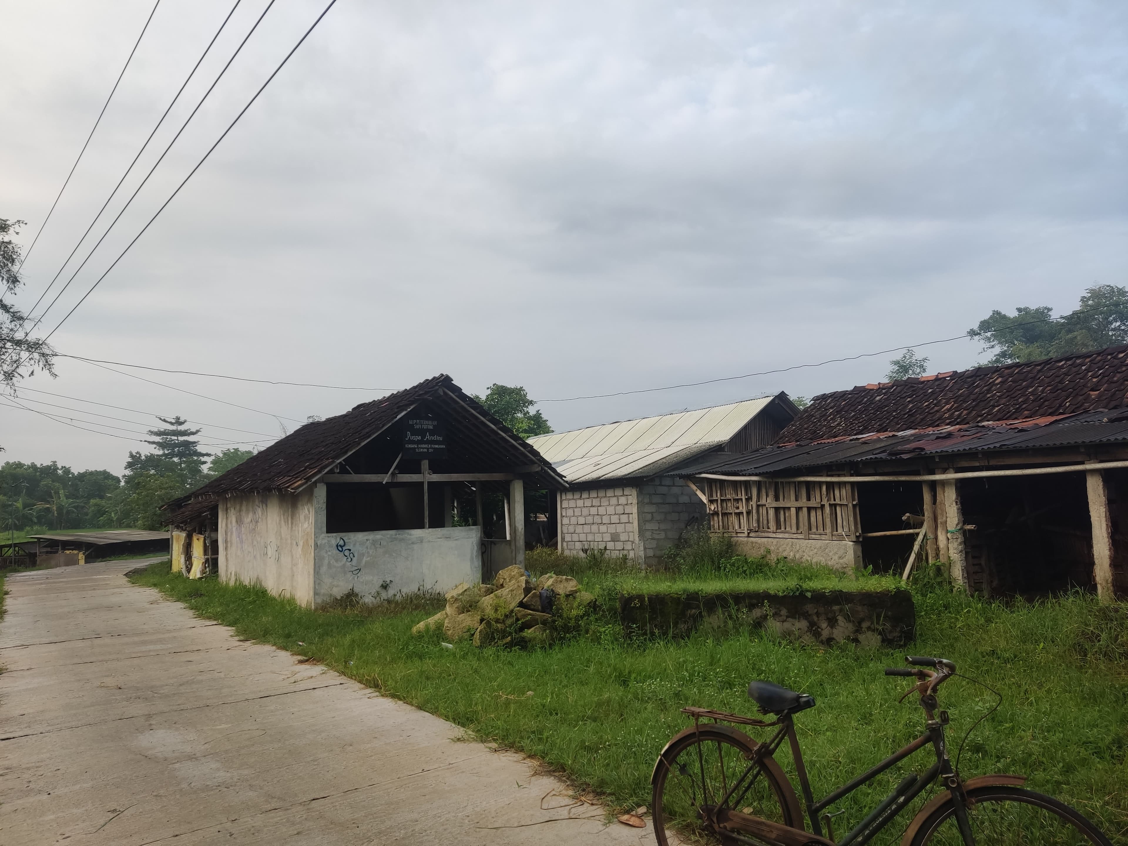 Pemandangan Sore Area Persawahan Madurejo